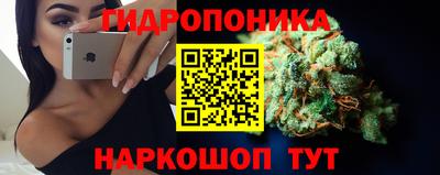 трава Шелехов