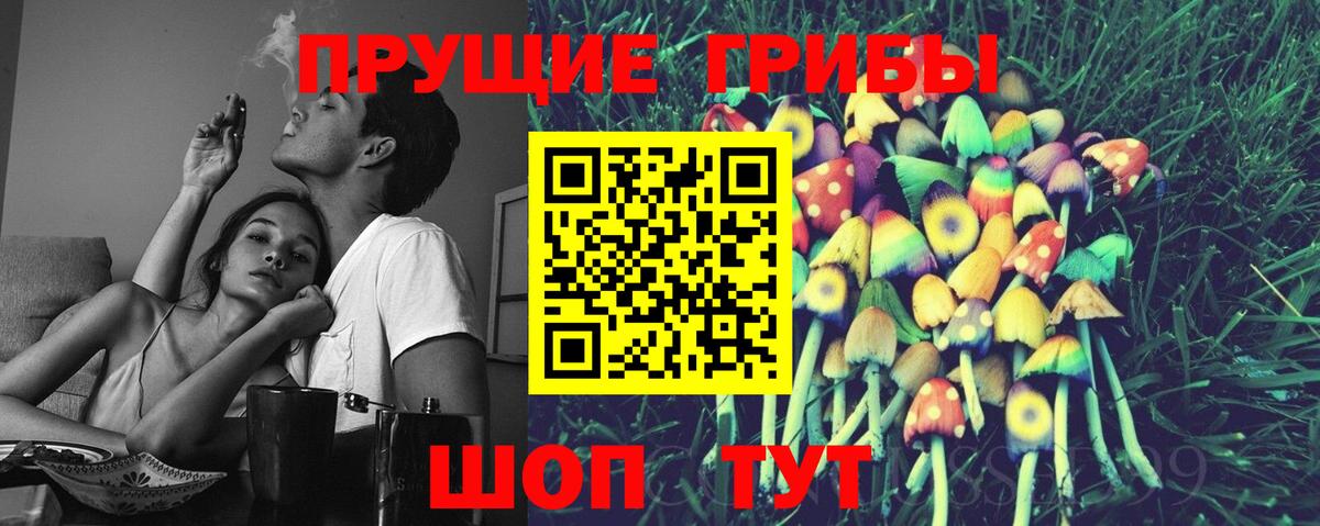 Псилоцибиновые грибы MAGIC MUSHROOMS  Псилоцибиновые грибы Psilocybine cubensis  Котлас  Вход с VPN 