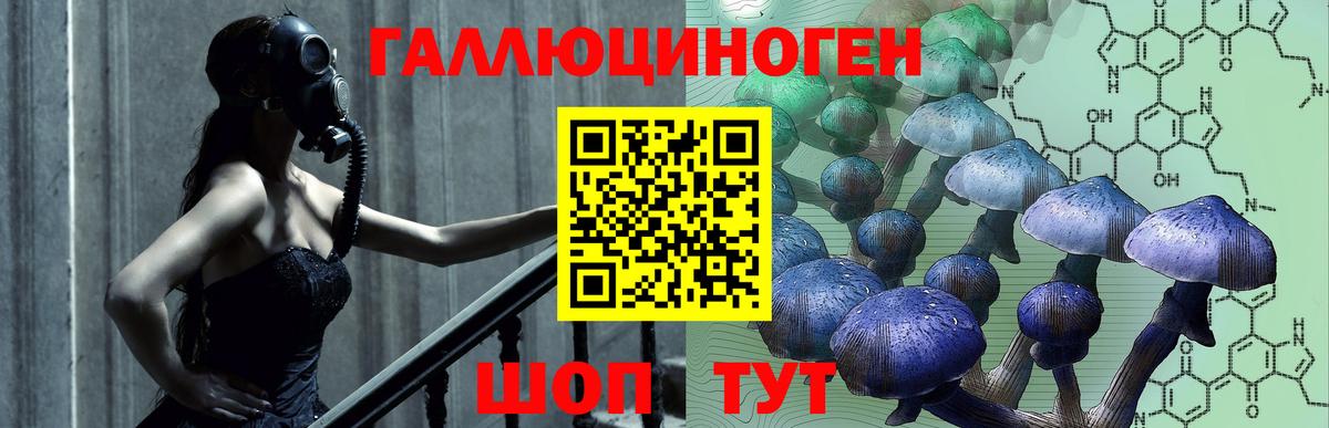 Галлюциногенные грибы GOLDEN TEACHER Котлас